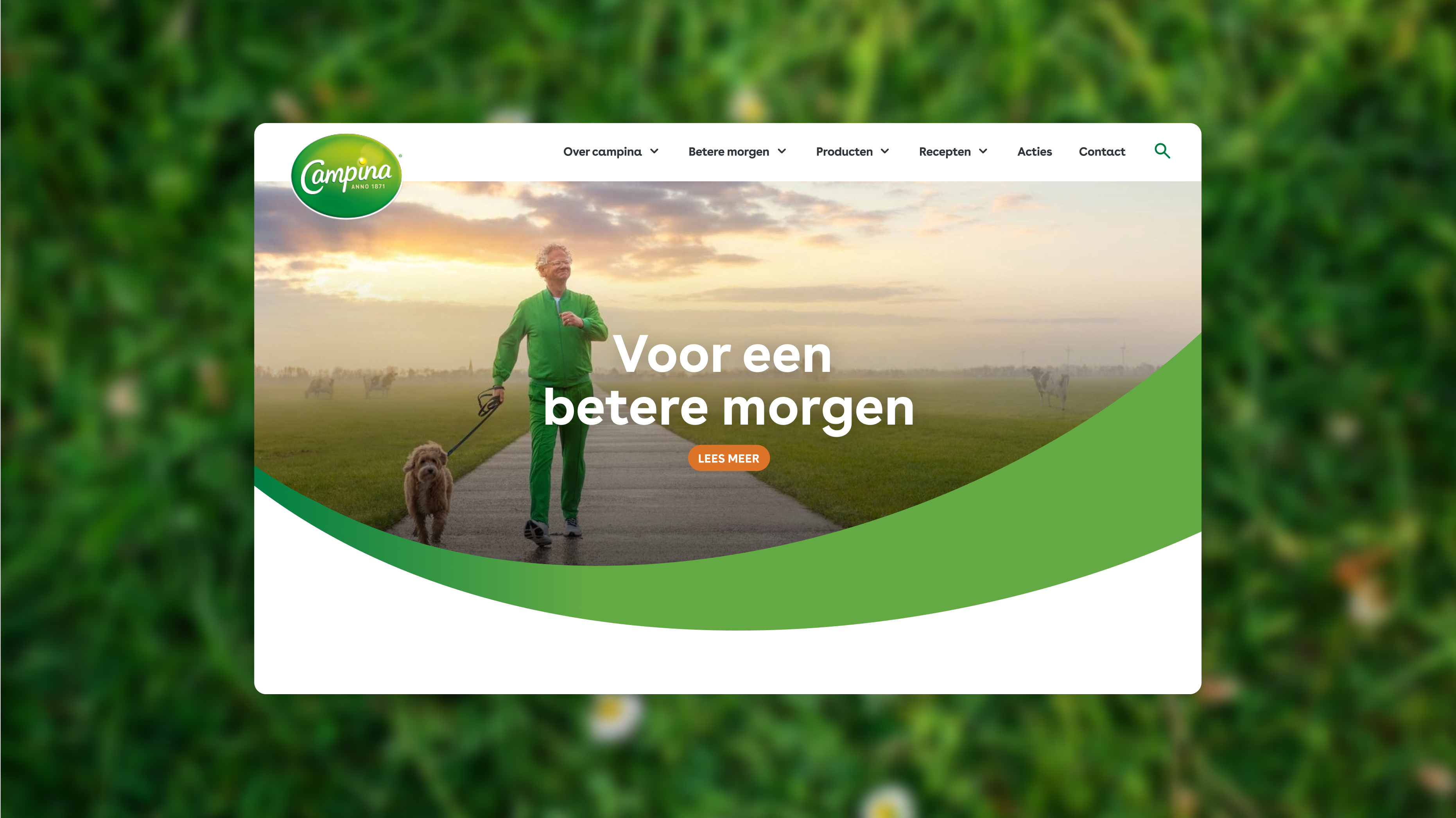 FrieslandCampina interface