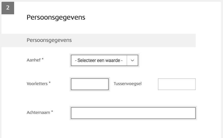 Afbeelding van een formulier zonder tekstuele error aanduiding