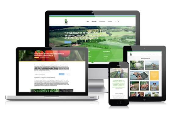 Een demonstratie van de diverse responsive vormen die de website van Bejo aanneemt